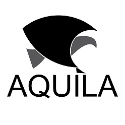 Aquila Gallery